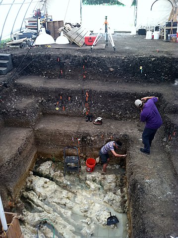 The Gault archeological site
